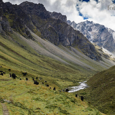 Laya Lingshi Trek 10.-27. Okt/+